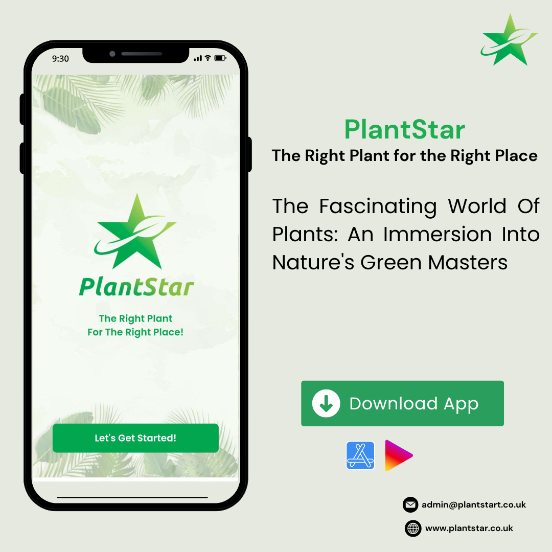 The Fascinating World of Plants: An Immersion into Nature’s Green Masters 